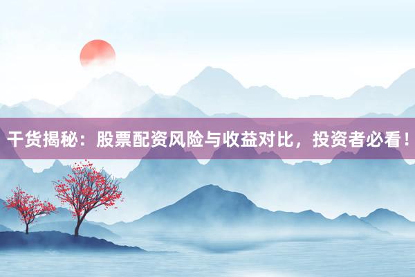 干货揭秘：股票配资风险与收益对比，投资者必看！