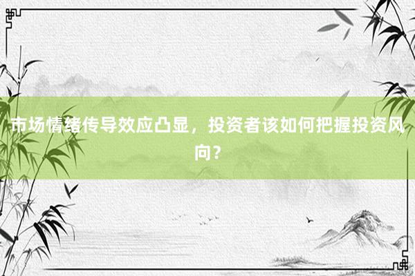 市场情绪传导效应凸显，投资者该如何把握投资风向？