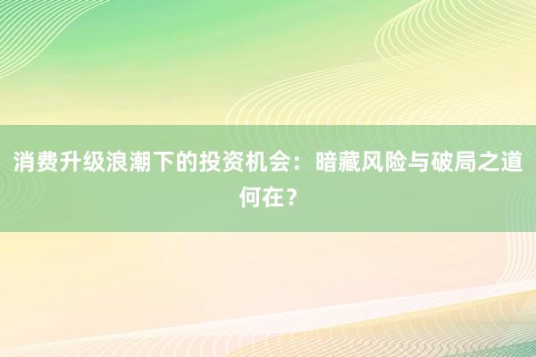消费升级浪潮下的投资机会：暗藏风险与破局之道何在？